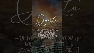 bomdia gratificante music frases mensagem grata gratidao [upl. by Yemirej962]