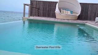 Dusit Thani Maldives  Virtual Vacation [upl. by Olnee]