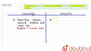 State difference between coleorhiza and coleoptile on basis of their functions and location [upl. by Judith]