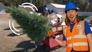 Explore a Christmas Tree Farm with Handyman Hal  Pick the perfect Christmas Tree  On the Farm [upl. by Ytsirhc]