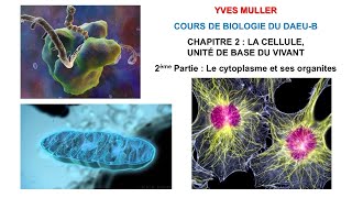 Chapitre 2  2ème partie  Le cytoplasme et ses organites  Cours de Biologie du DAEUB [upl. by Lenka835]