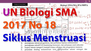 N18 Siklus Menstruasi Pembahasan Ujian Nasional Biologi SMA 2016 2017 [upl. by Notsgnik714]