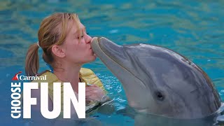 Dolphin Swim with Unlimited Food amp Drinks  Cozumel  Shore Excursions  Carnival Cruise Line [upl. by Aufmann]