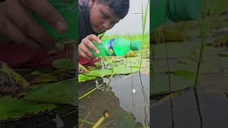 Unbelievable plastic Bottle Hook Fishing Techinques🐬 Bottle Hook Fishing challenge 2024 shorts [upl. by Aneram886]