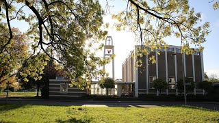 Kruiskerk Arnhem 6 november 2024 Dankdag [upl. by Raskind]