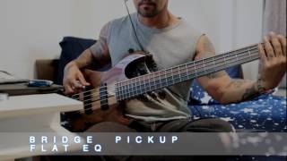 Kiesel VB5 Demo [upl. by Ollecram]