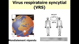 Virologie  Virus Respiratoire Syncytial VRS FMPC [upl. by Jamilla]