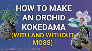 How to make an orchid kokedama with and without moss old kokedama maintenance [upl. by Norbie]