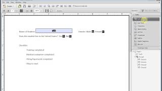 Adobe Acrobat How to Create A Form With Check Boxes and Radial Buttons PDF [upl. by Lemrahs]