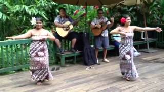 Hawaiian Wedding song in Kauai Island with Hula Dance [upl. by Eniarral]