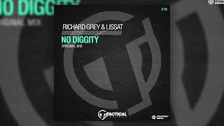 Richard Grey amp Lissat  No Diggity [upl. by Patience74]