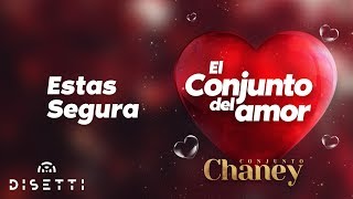 Conjunto Chaney  Estas Segura  Salsa Romantica con Letra [upl. by Eural]