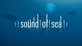 Sound Of Sea – Sea Shepherd [upl. by Jamil478]