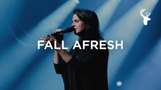 Fall Afresh  Amanda Cook  Bethel Music Worship [upl. by Anyahs]