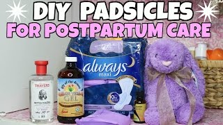 DIY Padsicles  Postpartum Care [upl. by Mahsih172]