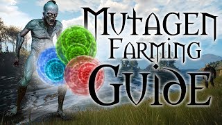 Mutagenerator Farming Guide  The Witcher 3 [upl. by Dottie]