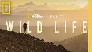 Wild Life  Official Trailer  National Geographic [upl. by Nancee]