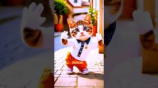 Cute cat amazing dance 🧡  dancingcat cat funnycatvideos shorts shortsviral [upl. by Olegnaleahcim840]