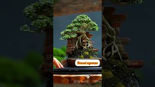 Inspirasi Bonsai sancang Mini bonsai bonsaitree bonsaisancang tanamanhias bonsaiindonesia [upl. by Eutnoj881]