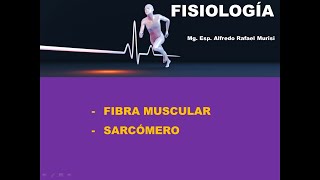 Alfredo Murisi  FISIOLOGÍA  Fibra muscular y sarcómero [upl. by Adrell959]