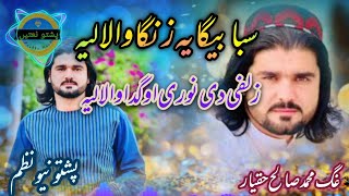 Pashto New Nazam ll Pashtoo Nazamll Awaz Salih Haqyar llپشتو نیو نظم [upl. by Ev]