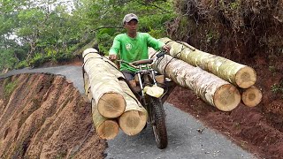 Extreme OffRoad Bikes Moving Tons of Logs in Mountain [upl. by Assirehc303]