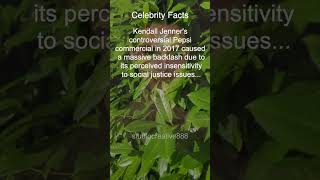 Kendall Jenner Pepsi Ad Controversy 2017 Celebrity Facts [upl. by Stockwell]