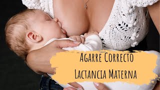 ¿Cómo conseguir un buen AGARRE al PECHO · LACTANCIA MATERNA [upl. by Ater145]