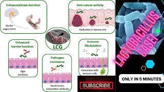 lactobacillus microbiology lecture lactobacillus casei Easy Microbiology [upl. by Cranston499]