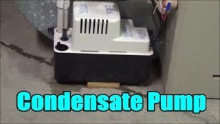 How to Install  Replace a Condensate Pump  Little Giant [upl. by Kazue]