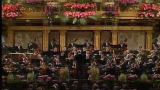 Johann Strauss BAUERNPOLKA [upl. by Robbi]