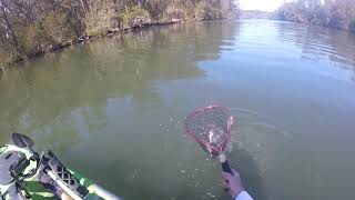 Tomaga River Fishing for Flathead [upl. by Sidell]