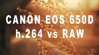 Canon EOS 650D T4i  h264 vs RAW [upl. by Anear485]