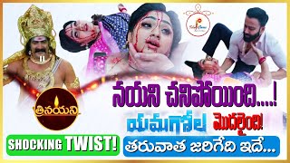 Trinayani TV Serial Shocking Twist   నయని చనిపోయింది   Zeetelugu  Teluguflame [upl. by Gristede]