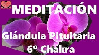 MEDITACIÓN Glándula pituitaria 6º Chakra [upl. by Kinson170]