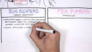 COPD  Overview and Pathophysiology PART I [upl. by Guimar36]