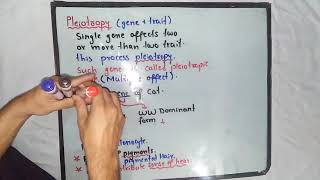 Pleiotropy Genetics  Class 12 Biology [upl. by Emia281]