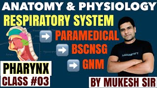 PHARYNX NasopharynxOropharynx amp Laryngopharynx II RESPIRATORY SYSTEM II CLASS 03 II ANATOMY [upl. by Monetta]