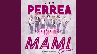 Perrea Mami Mix Estudio [upl. by Aphra614]