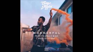 Casey Veggies ft Ty Dolla ign  Wonderful Clean [upl. by Erdnaid565]