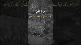 Surah shamasurdu translation quran shortsfeed [upl. by Atikkin162]