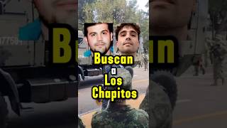 Buscan a Los Chapitos mexico loschapitos narcosmexico narcos sinaloa culiacan mayitoflaco [upl. by Cira]