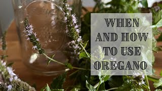 Medicinal Uses For Oregano  Making Oregano Tincture [upl. by Seumas]