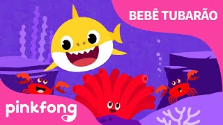 Cores no Mar  Cante junto com o Bebê Tubarão  Pinkfong Canções para crianças [upl. by Phylys]