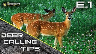 Deer Calling Tips E1 quotFawn Vocalizationsquot [upl. by Soane]