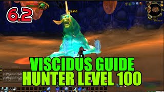 WoW Viscidus Solo Guide  Hunter Level 100 How to Kill [upl. by Arebma]