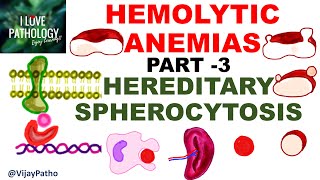 Hemolytic Anemia What It Is and How to Treat It [upl. by Jaquenette247]