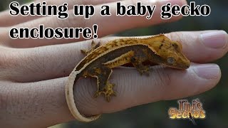 Setting up a baby gecko enclosure [upl. by Giess]