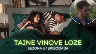 Tajne vinove loze 3 sezona 34 epizoda  Mirtea je uspela da spase Marka Vuk predlaže preseljenje [upl. by Narcissus860]