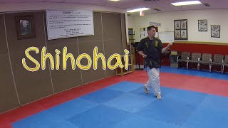 Learn Karate Shihohai karate karatekata shihohai [upl. by Odlanyer]